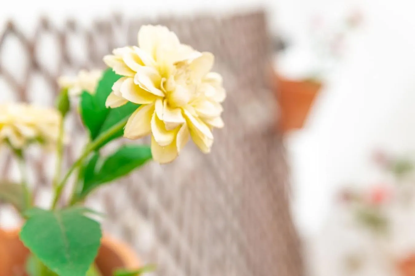 Casa Siroco | +Patio Apartment Barbate